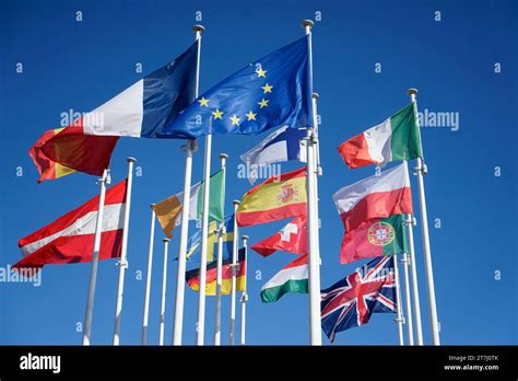 Étudiant devant des drapeaux européens
