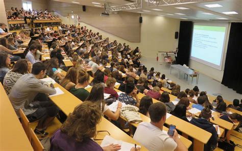 Étudier à l'université