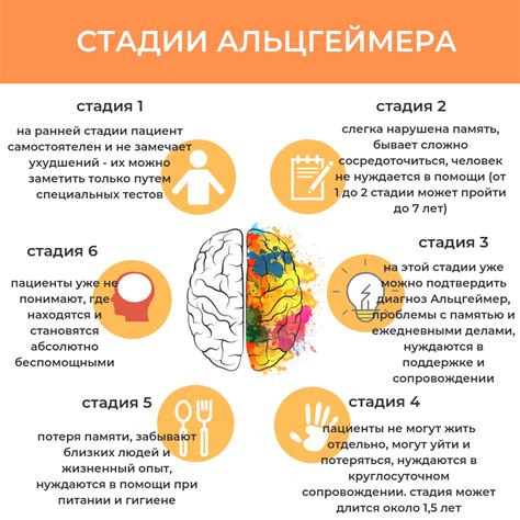 Питание и болезнь Альцгеймера