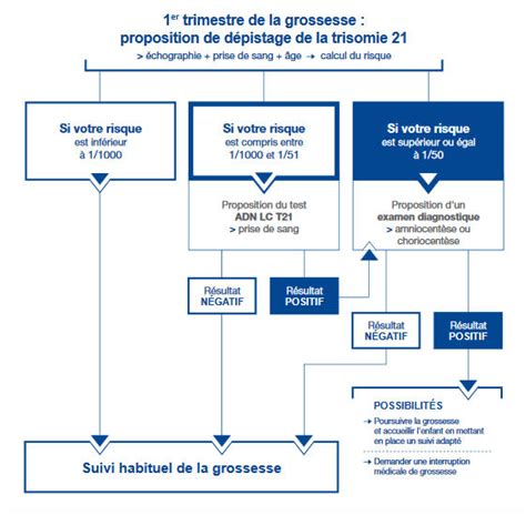 Accès au dépistage de la trisomie 21 en fonction de la catégorie socio-professionnelle