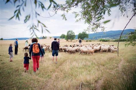 Activité Agricole et Tourisme Rural