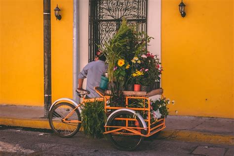 Activités Commerciales Auto-Entrepreneur