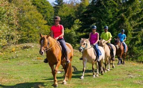 Activités Equestres