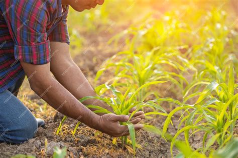 Agriculteur travaillant dans son champ