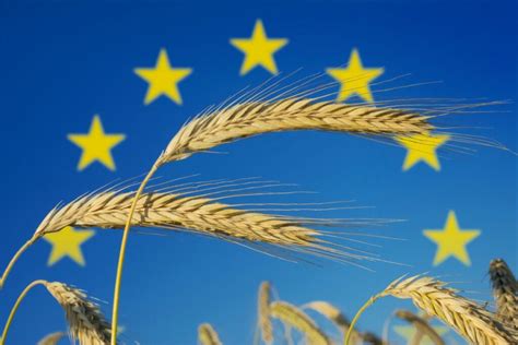 Agriculture Européenne