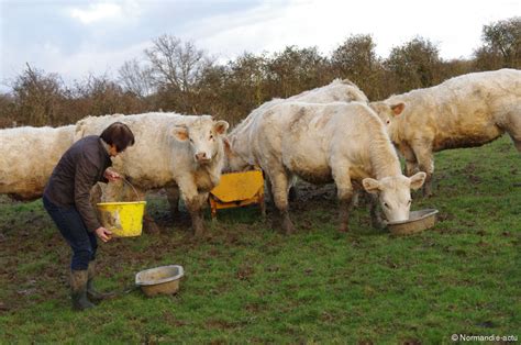 Agriculture en Normandie