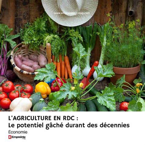 Agriculture en RDC