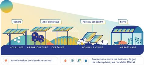 Agrivoltaïsme : Types d'installations