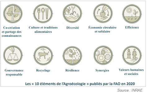 Agroécologie: Les 10 éléments