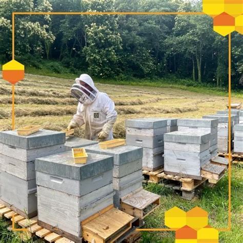 Aide aux apiculteurs FranceAgriMer