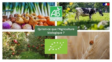 Aides financières pour l'agriculture biologique