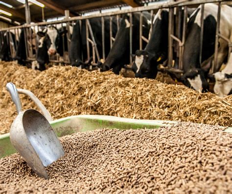 Alimentation des animaux