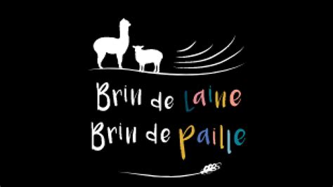 Alpagas à la Ferme Brin de Laine