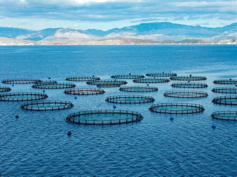 Aquaculture en mer
