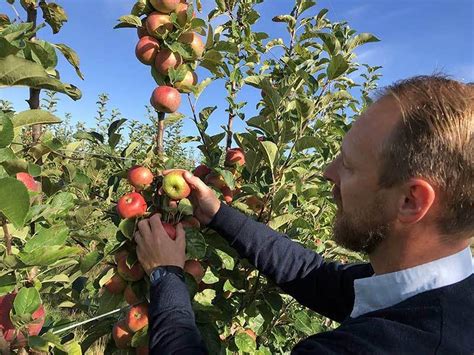 Arboriculteur dans un verger