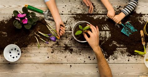 Atelier de jardinage