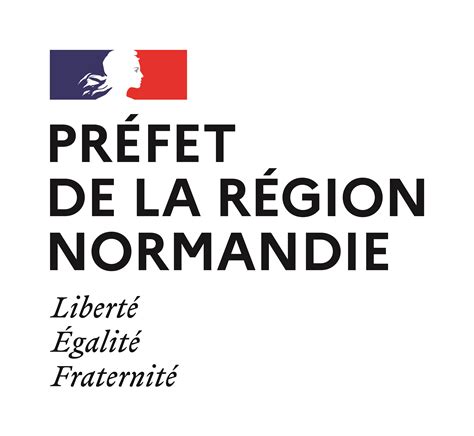Auxiliaire de Finances au travail