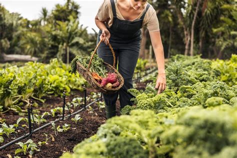 Avantages du jardinage