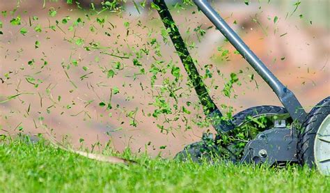 Avantages du mulching