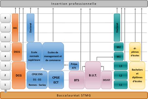 Bac STMG et après