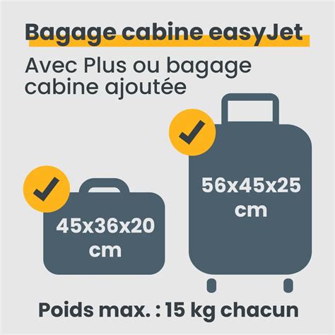 Bagage à main