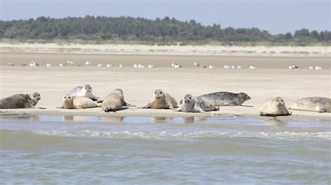 Baie de Somme