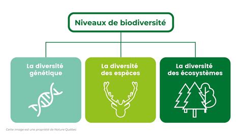 Biodiversité et chasse