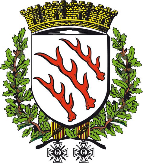 Blason de Sarrebourg