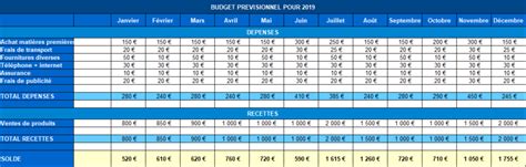 Budget prévisionnel auto-entrepreneur