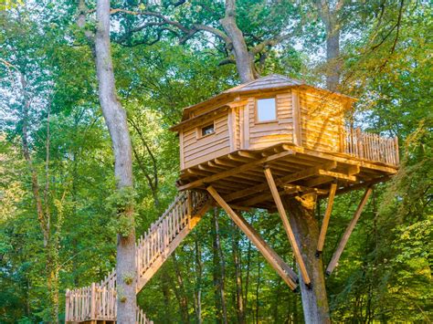 Cabane dans les arbres