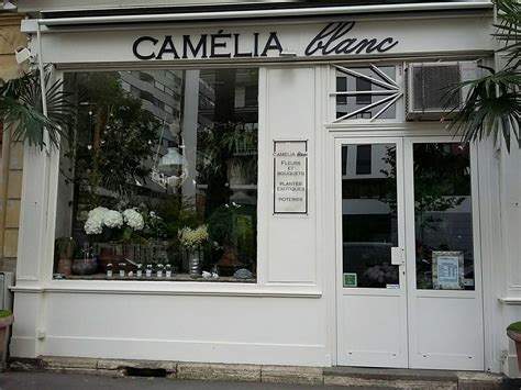 Camelia Blanc Fleuriste