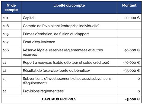 Capitaux Propres Négatifs