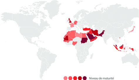 Carte de la Finance Islamique dans le Monde