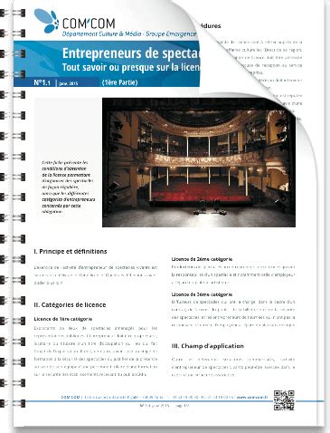 Catégories d'Entrepreneurs de Spectacles
