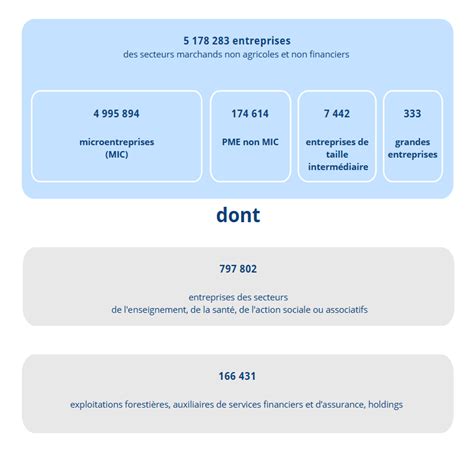 Catégories d'entreprises en France
