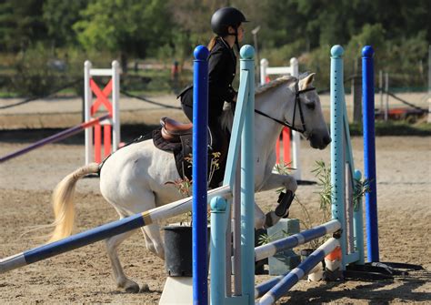 Cavaliers en compétition