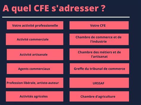Centres de Formalités des Entreprises (CFE)