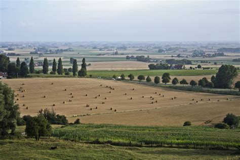 Champ agricole en France