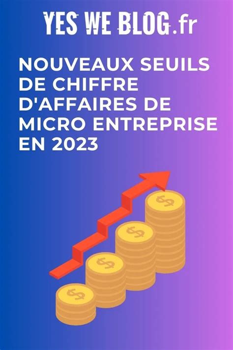 Chiffre d'affaires micro-entreprise 2023