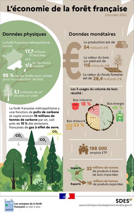Chiffres clés de la forêt et du bois