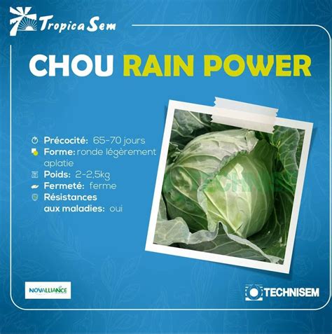 Chou RAIN POWER