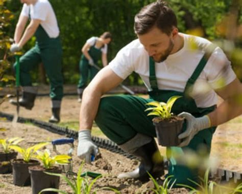Comment devenir paysagiste sans diplôme