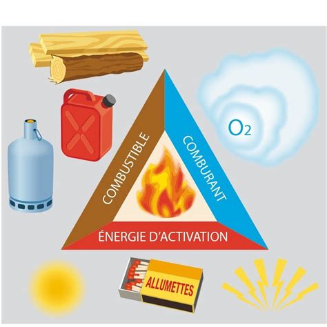 Composantes du triangle
