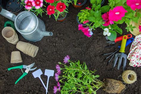 Conseils de jardinage