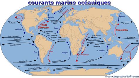 Courants marins