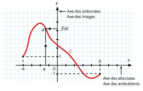 Courbe d'une fonction