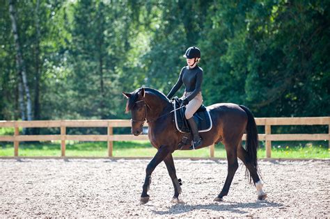 Cours d'équitation