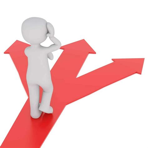 Débouchés Professionnels