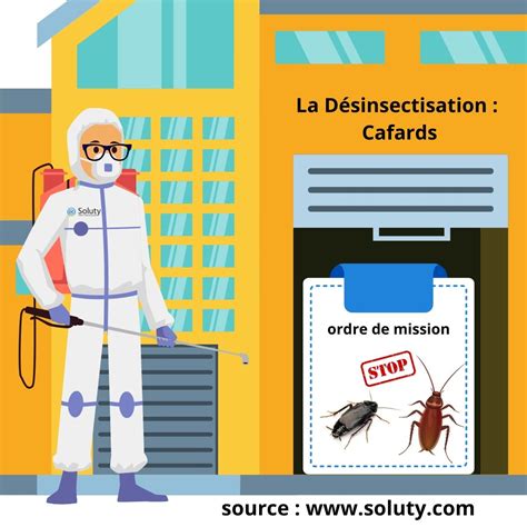 Désinsectisation