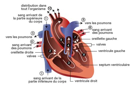 DGFiP : Au cœur du fonctionnement de l'État